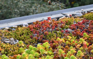 the cost of Rhosygilwen green roof installation