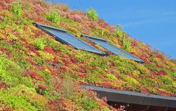 Rhosygilwen living roof systems