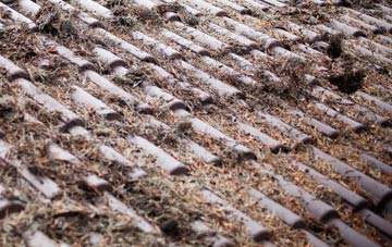 Rhosygilwen roof cleaning companies