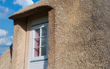 Rhosygilwen thatch roof disadvantages