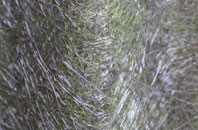 Rhosygilwen fibreglass roof work